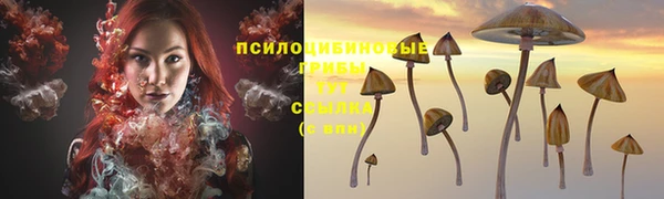 jwh Слюдянка