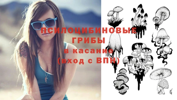 МДПВ Горнозаводск