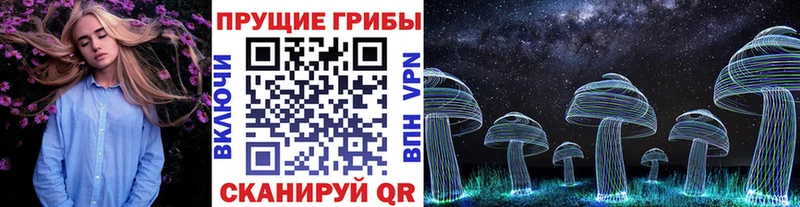 магазин продажи наркотиков  OMG маркетплейс  Галлюциногенные грибы Cubensis  Меленки 